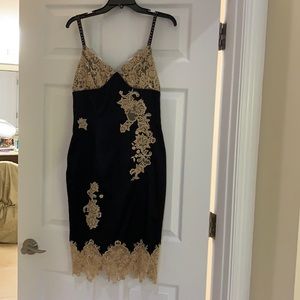 CACHE Size 6 dress